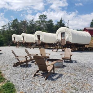 Four covered wagons in daytime with firepit in foreground and barn in background