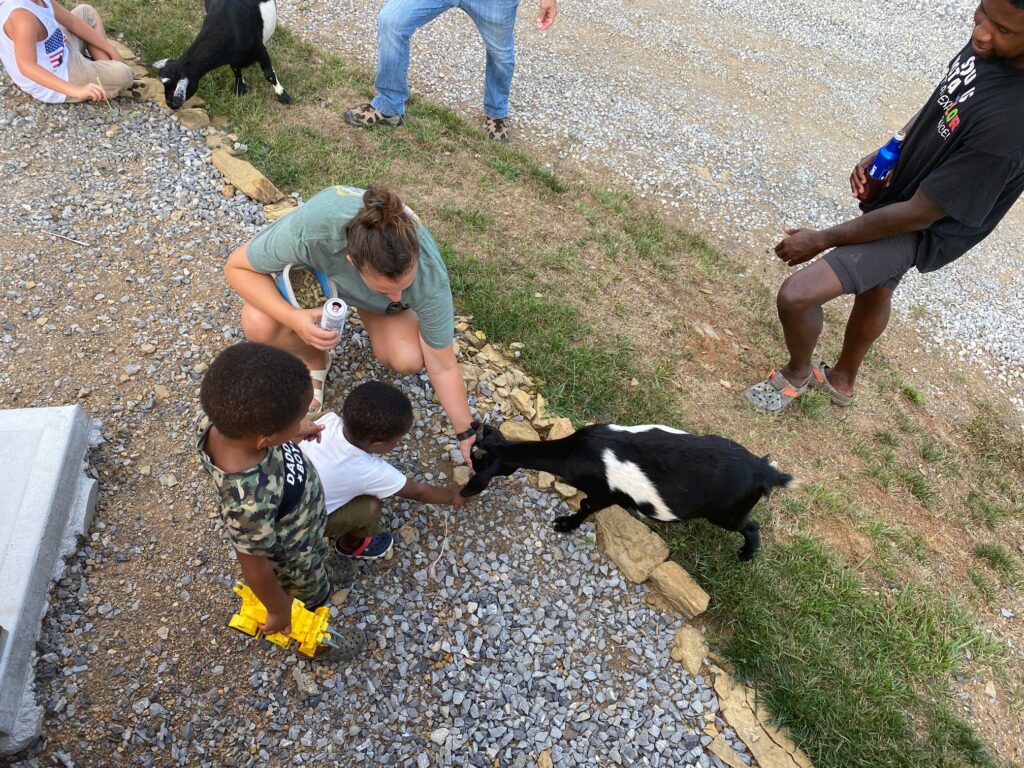 Small children feeding baby goats at the Smoky Mountain campground